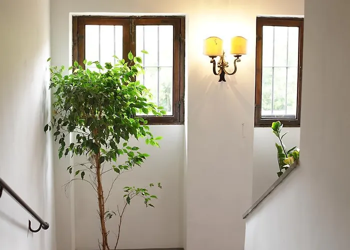 Domus Corsini 4*